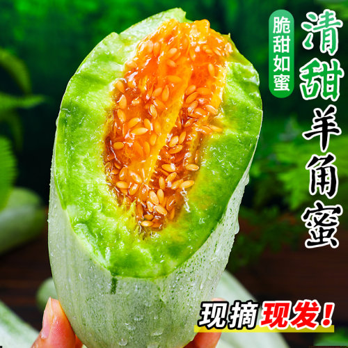 甜！！！正宗羊角蜜甜瓜