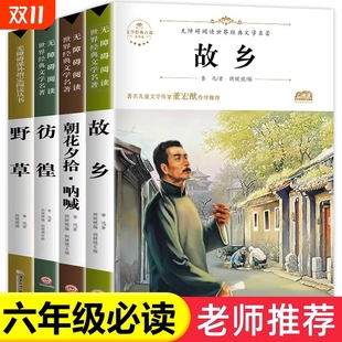 鲁迅原著正版 野草 彷徨全套4册六年级必读课外书鲁迅 散文作品集书籍经典 故乡 书6年级课外阅读书籍老师推荐 全集读本 配套考点