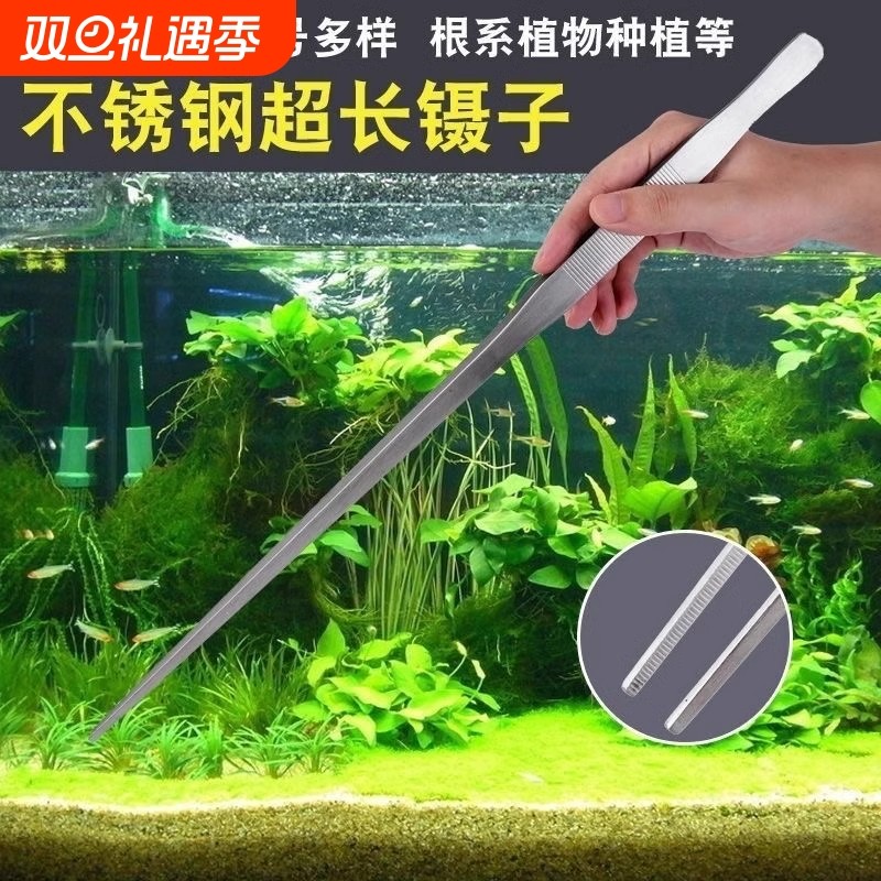 超长48cm不锈钢镊子加长加厚大号取物夹子水草多肉工具大摄子钳