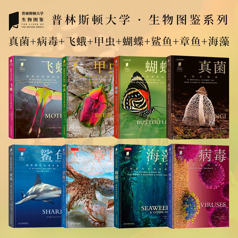 中国国家地理普林斯顿大学生物图鉴系列昆虫微生物海生物科普图书读物蝴蝶鳞翅目鞘翅目飞蛾甲虫地球生命科技
