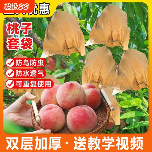 桃子专用果袋防鸟虫防水透气