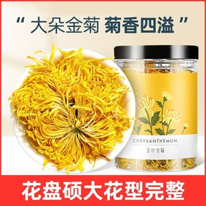 金丝皇菊一朵一杯大菊花特级黄菊花茶