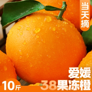 爱媛38号果冻橙橙子当季整箱10斤四川甜柑橘手剥大果包邮爆汁现摘