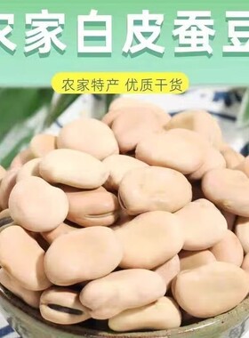 蚕豆干货生蚕豆生大粒生干蚕豆特产胡豆农家佛豆生白皮