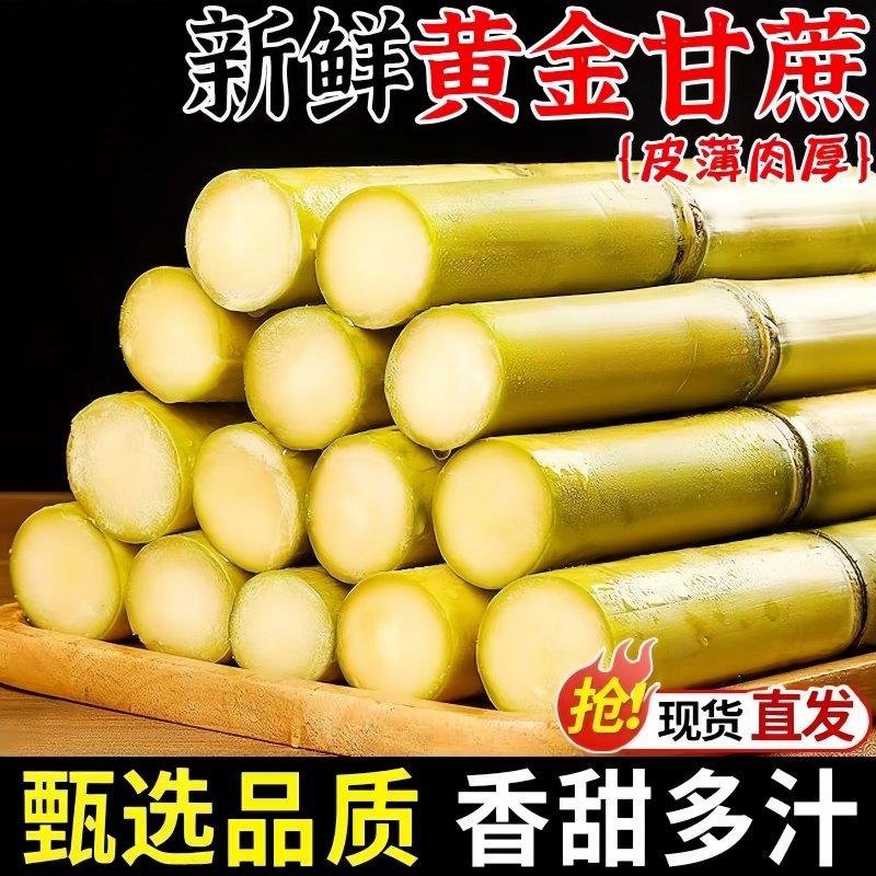 云南手剥黄金甘蔗新鲜当季水果黄皮青皮黑皮甘蔗现砍脆甜多汁,水产肉类/新鲜蔬果/熟食,甘蔗,淘宝优惠券,粉丝福利购,淘宝优惠卷