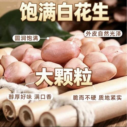 新鲜花生米50g新货袋装粉白皮花生仁商用白沙打豆浆散装当季源头