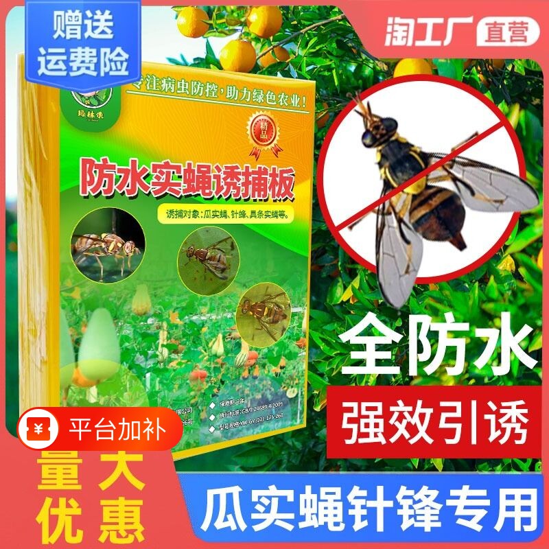 瓜果实蝇粘胶板果蝇诱粘板针蜂粘虫板粘蝇纸柑橘诱捕器灭杀苍蝇