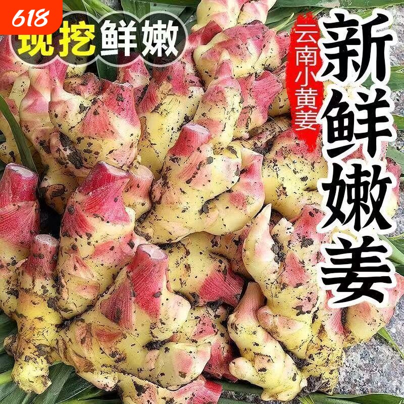 云南大理现挖春姜小黄姜