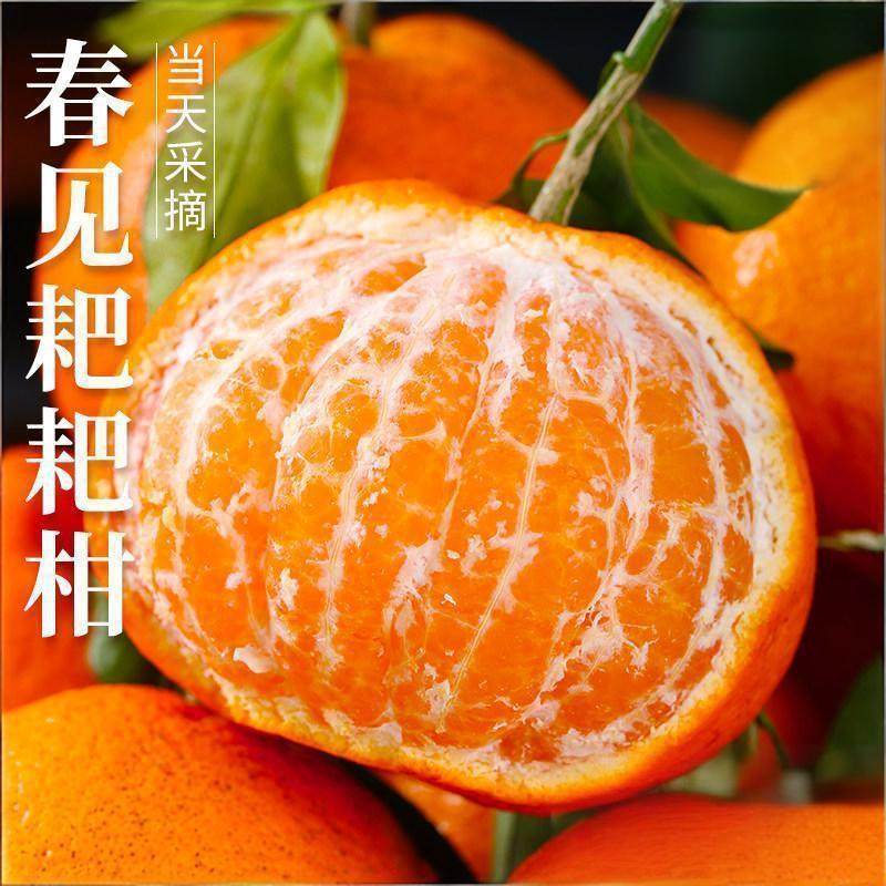 四川耙耙柑丑粑耙柑当季现摘新鲜春见杷杷柑桔子柑橘水果整箱,水产肉类/新鲜蔬果/熟食,桔子,淘宝优惠券,粉丝福利购,淘宝优惠卷