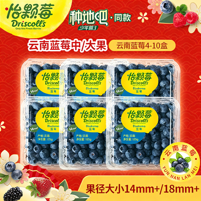 云南怡颗莓蓝莓应当季新鲜水果脆甜多汁孕妇水果整箱包邮顺丰