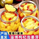 淄博枸杞泡姜芽山东特产新鲜生姜腌制下饭拌饭酱拌饭料糖醋泡菜