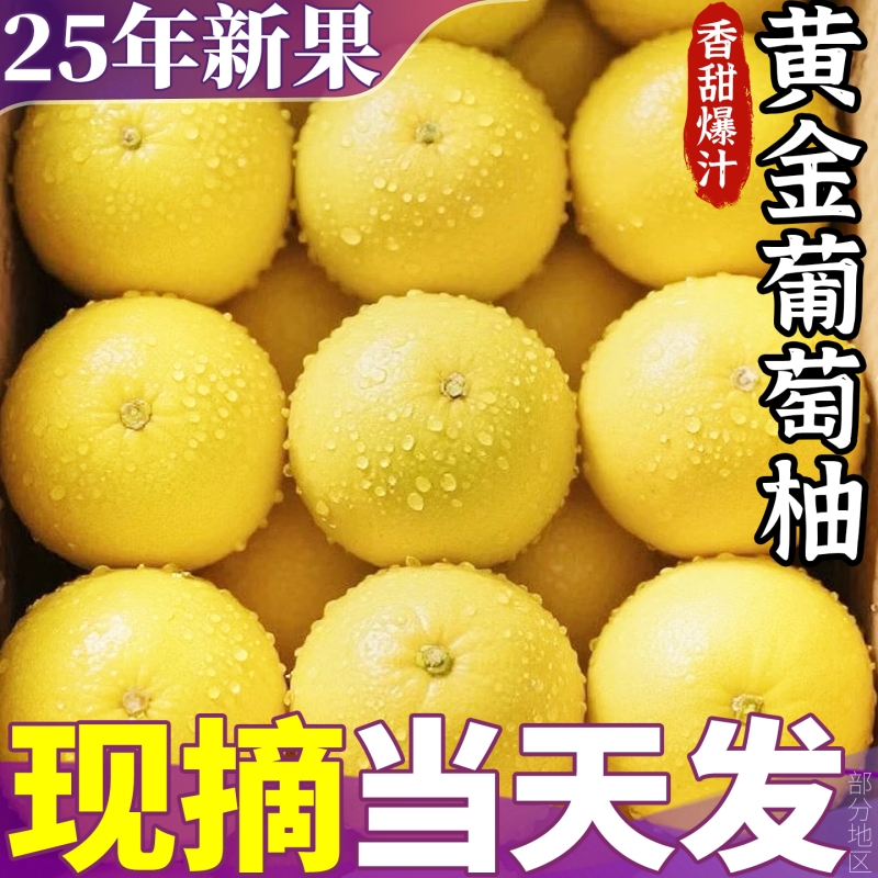 正宗黄金葡萄柚香甜多汁整箱