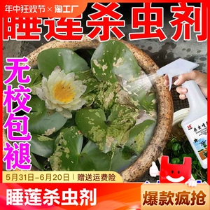 睡莲杀虫剂水培植物杀虫剂无土睡莲荷花专用肥料薄荷绿萝杀虫喷雾