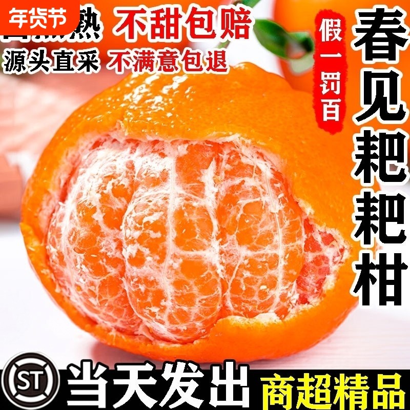 正宗四川春见耙耙柑粑粑柑橘子现摘发货水果应当季新鲜整箱丑桔10,水产肉类/新鲜蔬果/熟食,桔子,淘宝优惠券,粉丝福利购,淘宝优惠卷