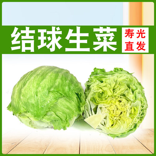 新鲜球生菜脆嫩可口产地直发包邮