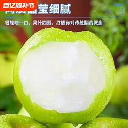 青梨皇冠梨5斤梨子新鲜当季水果酥脆梨砀山黄金梨整箱包邮