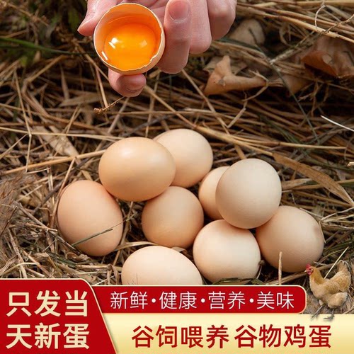 新鲜谷物鸡蛋6枚50g笨鸡蛋初生蛋鲜鸡蛋源头喂养散养上门送货