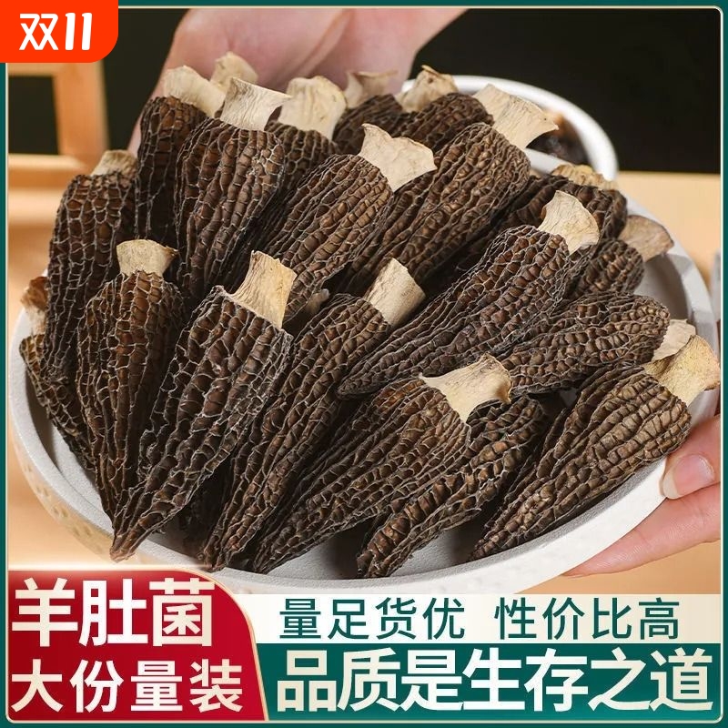 云南特级羊肚菇净重无硫批发