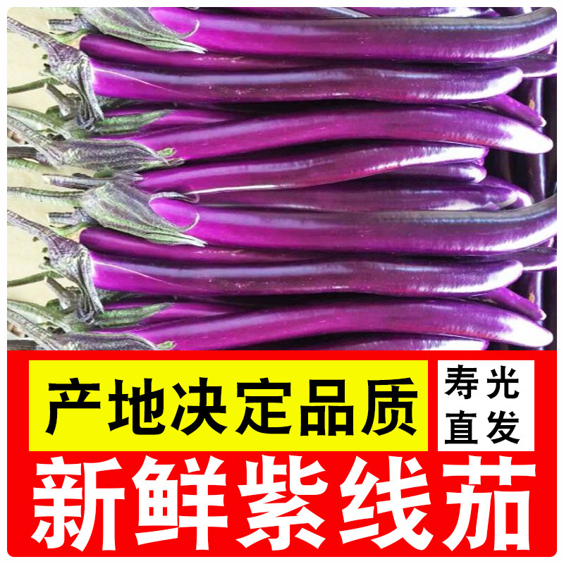 超长线茄紫红色杭茄长茄新鲜产地直发包邮,水产肉类/新鲜蔬果/熟食,茄子,淘宝优惠券,粉丝福利购,淘宝优惠卷