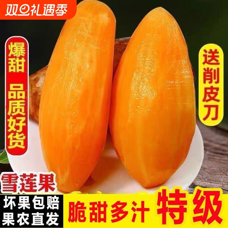 优质云南高山黄雪莲果新鲜水果当季特红心果凡雪连果清脆甜整多汁