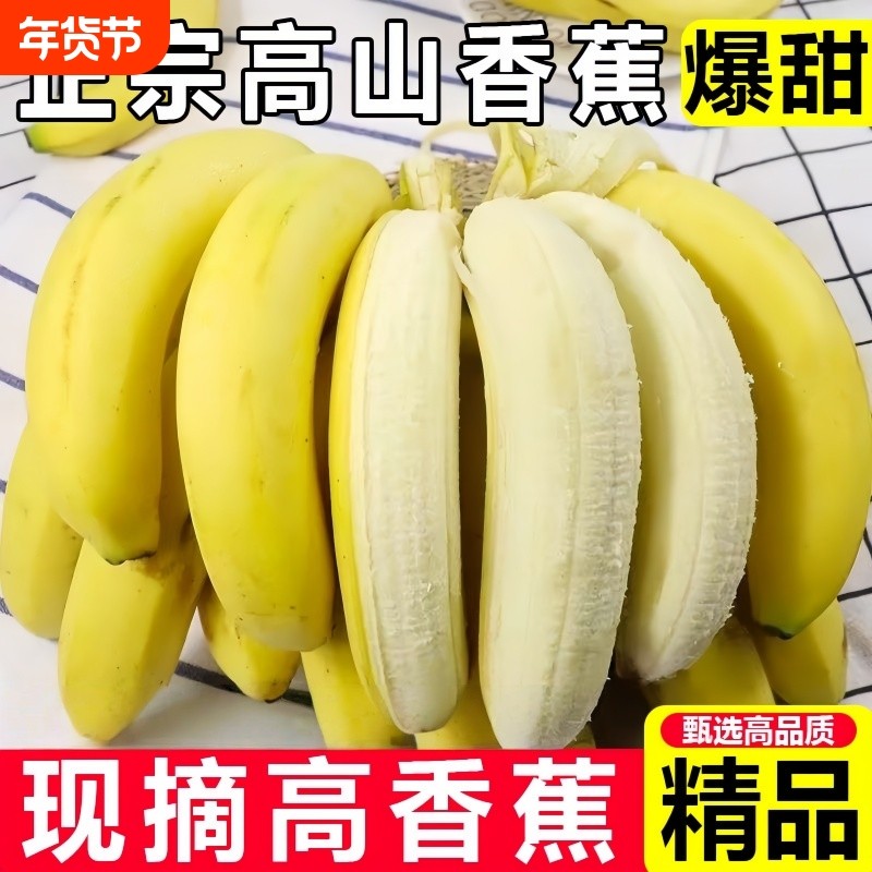优质云南自然青皮高山现摘香蕉正宗新鲜甜糯水果当季自提热带产地,水产肉类/新鲜蔬果/熟食,香蕉,淘宝优惠券,粉丝福利购,淘宝优惠卷