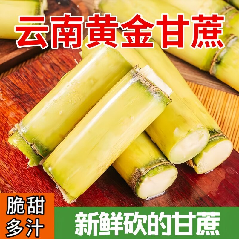 新鲜中段云南黄金甘蔗新鲜孕妇水果当季脆甜皮薄手撕黄皮甘蔗批发