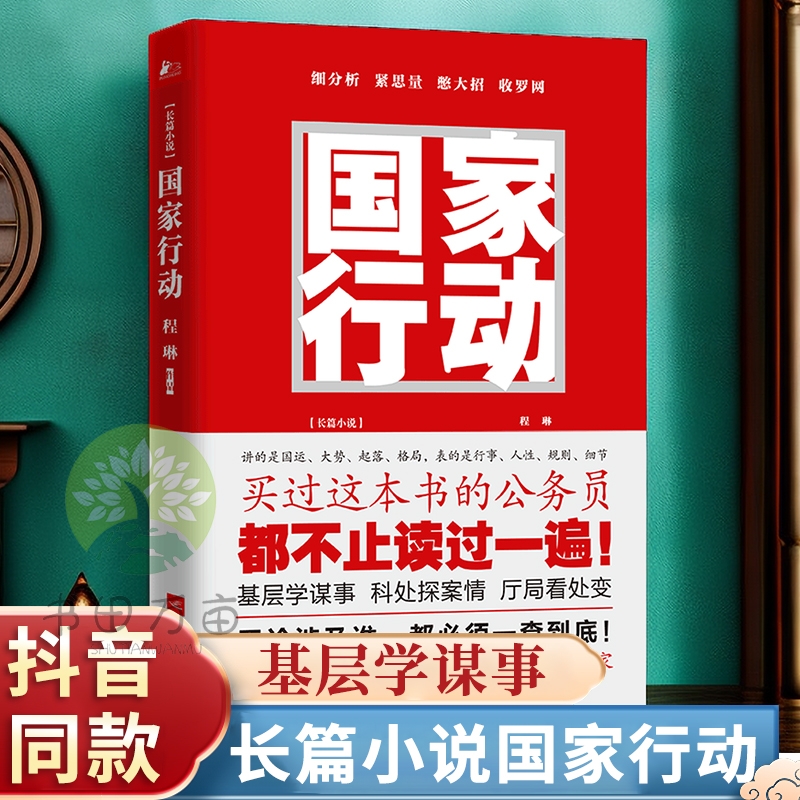 国家行动程琳无论涉及到谁都将一查到底腐败的人背后有人我们的背后有国家悬疑推理警匪破案犯罪打黑惩除恶反腐刑侦官场小说yzx