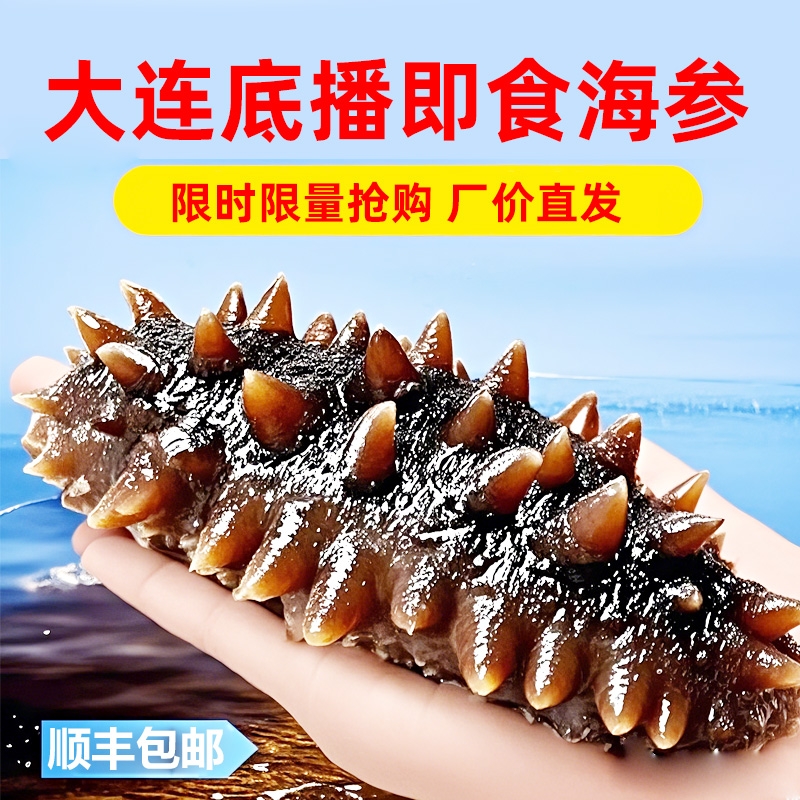海参大连即食1斤2斤克冷冻海刺参500g水产滋补