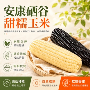 新鲜现摘甜糯玉米10根