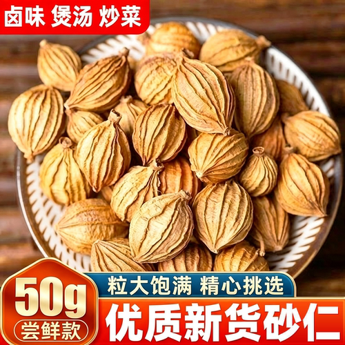 香砂仁中药材砂仁正宗川砂仁新货卤肉当季餐饮专用调料