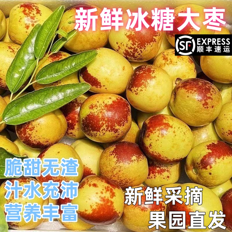 顺丰包邮正宗冬枣新鲜大果应季整箱枣子现摘脆枣冰糖大枣当季水果