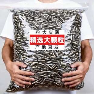 内蒙古大颗粒熟原味瓜子零食批发炒熟装炒货新货款葵花籽粒葵花子