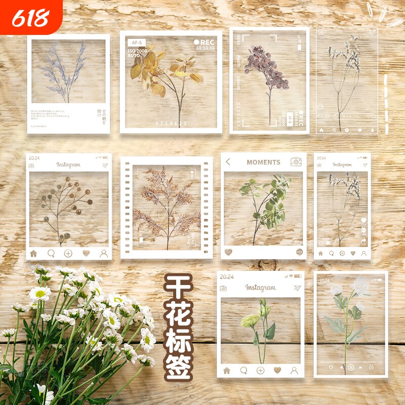 学生干花书签大号手工diy材料包透明标本自制树叶花朵植物压花春收集
