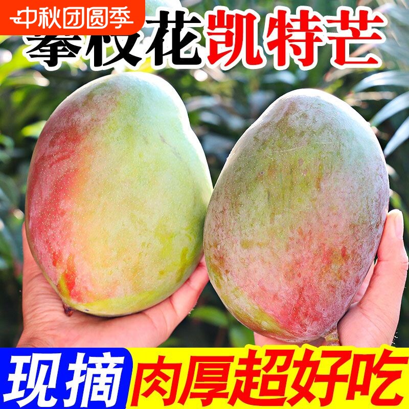四川攀枝花凯特芒果净重4.5斤