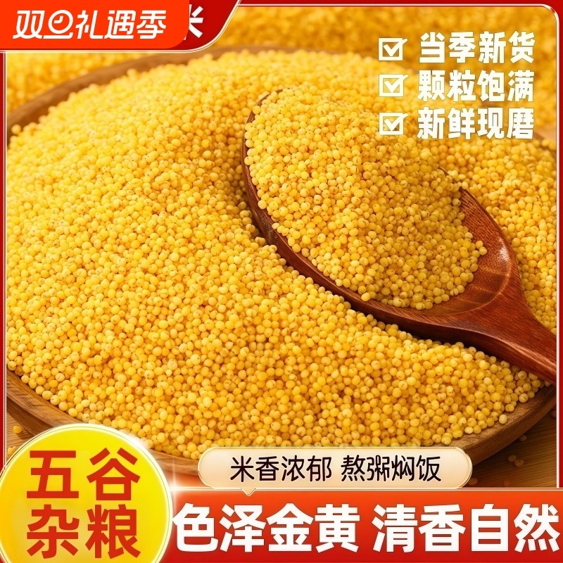 山西黄小米新米煮粥五谷杂粮黄小米五谷杂粮香糯熬粥米软糯油厚好