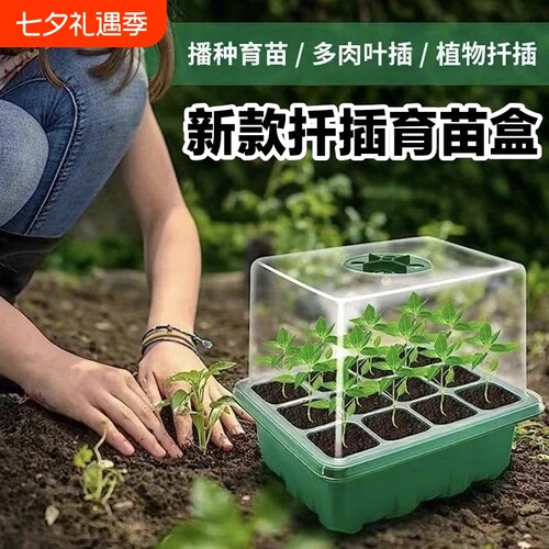 园艺育苗盆三件套花盆塑料扦插盆穴盘气闷养12孔培育盒育苗箱插土