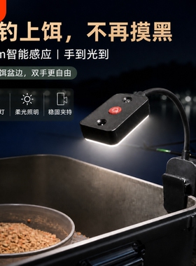 上饵灯夜钓感应钓鱼灯野钓饵料盘拉饵灯换饵LED充电垂钓渔具装备