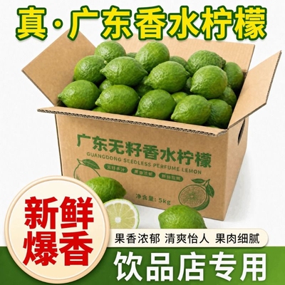 广东香水青柠檬无籽果园现摘现发新鲜奶茶店一级果饮品柠檬茶鲜果