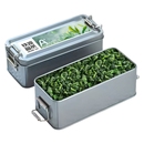 安溪铁观音新茶高山兰花香100g