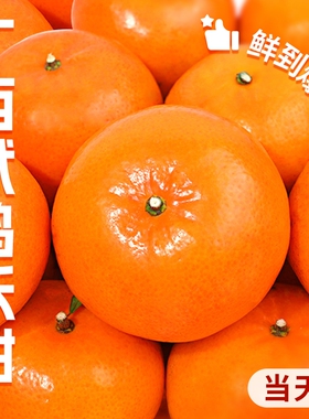 广西武鸣沃柑新鲜水果当季整箱时令10沙糖斤蜜橘砂糖柑橘桔子橘5