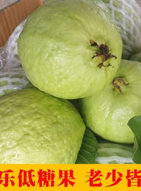 福建软糯软心芭乐5斤水果漳州当季奶油番石榴新鲜巴乐果整箱脆甜