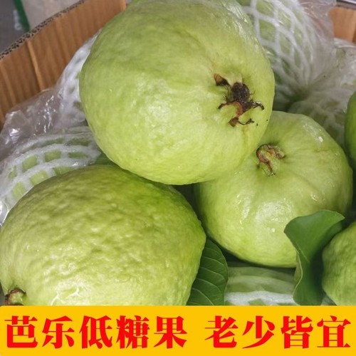 福建软糯软心芭乐5斤水果漳州当季奶油番石榴新鲜巴乐果整箱脆甜