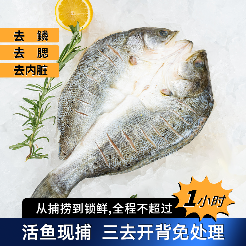 新鲜大号海鲈鱼冷冻海鲜三去烤鱼半成品深海开背白蕉鲈鱼商用