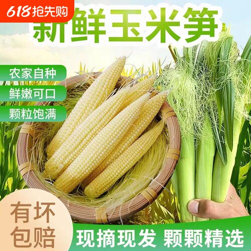 水果甜玉米小玉米芯玉玉米笋