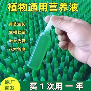 植物营养液绿萝通用型盆栽土水培多肉富贵竹发财树专用花卉肥料