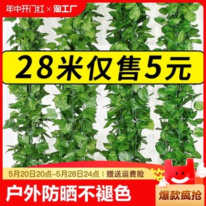 仿真绿萝叶假花藤条葡萄树叶吊顶管道装饰藤蔓塑料绿植物缠绕遮挡