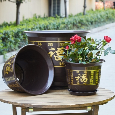 塑料发财树花盆防晒耐老化送托盘