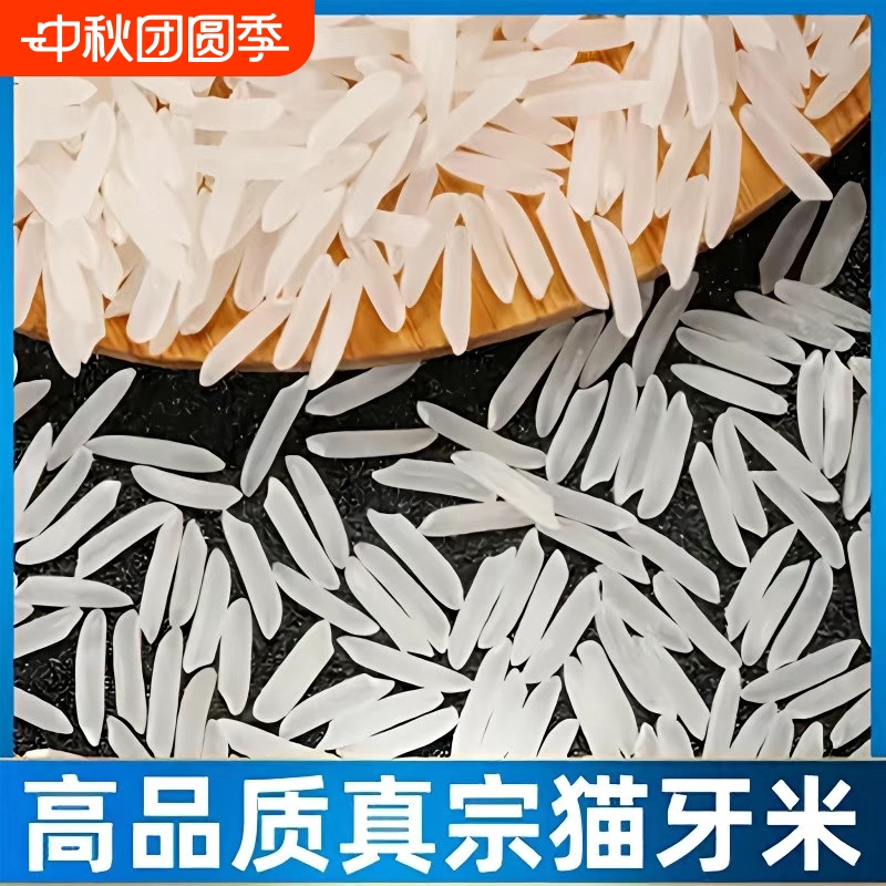 当季晚稻新米10斤/5斤广西象牙香米梯田大米煲仔饭炒饭长粒米批发