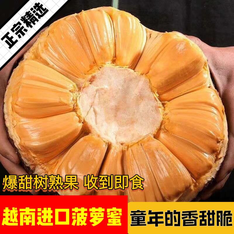 正宗越南甜蜜菠萝蜜!进口干苞!新鲜当季热带水果!爽口脆甜包邮