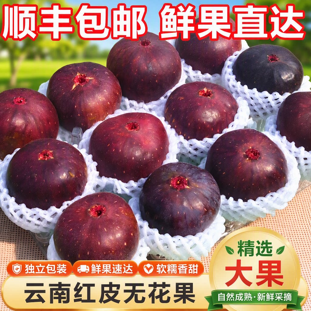 顺丰包邮云南新鲜无花果红皮鲜果孕妇儿童波姬红水果整箱现摘大果